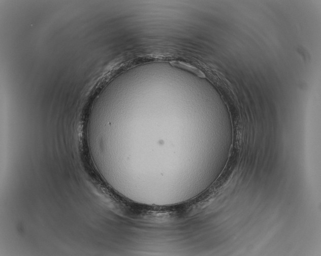 X0000115190260200911121827