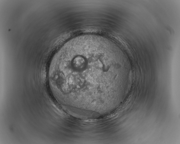 X0000115190261200911121827