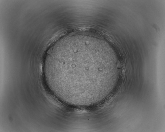 X0000115190262200911121827