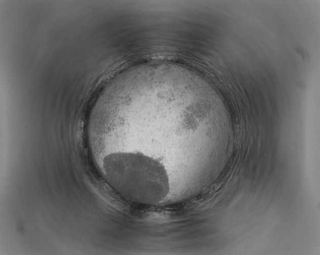 X0000115190263200911121827