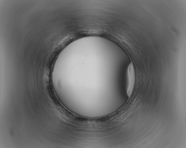 X0000115190264200911121828