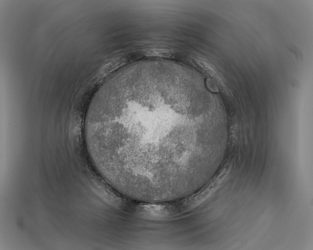 X0000115190265200911121828