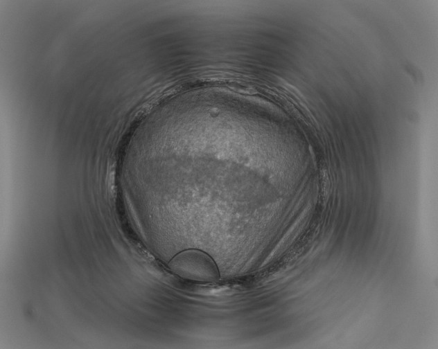 X0000115190267200911121828