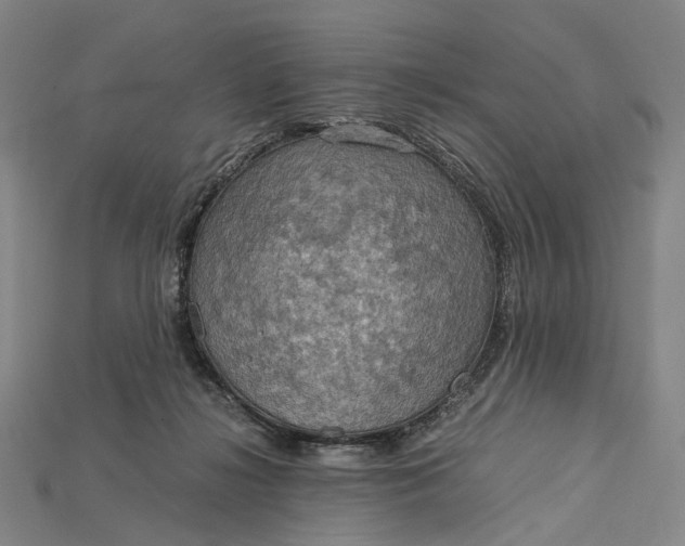 X0000115190268200911121828