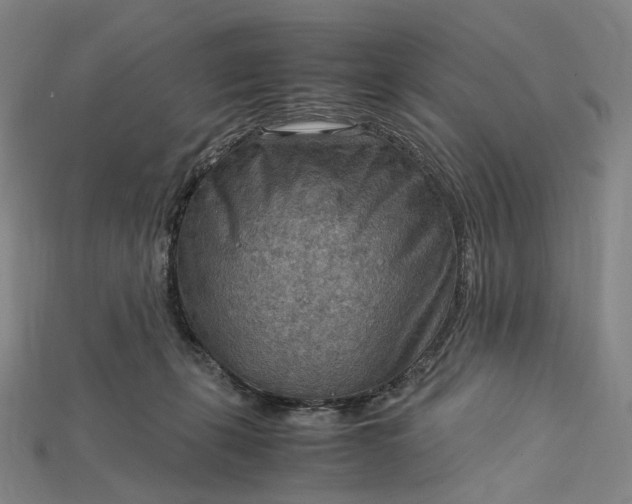 X0000115190271200911121828