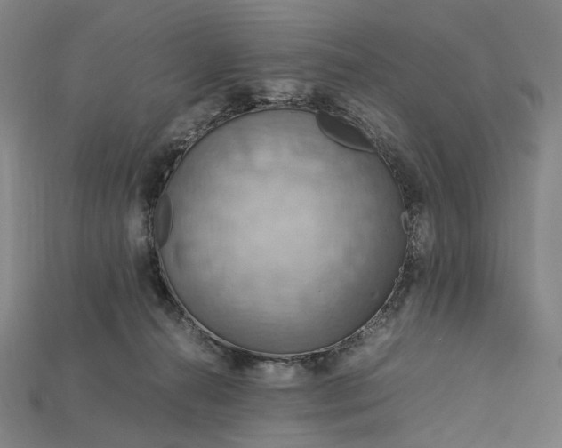 X0000115190272200911121828