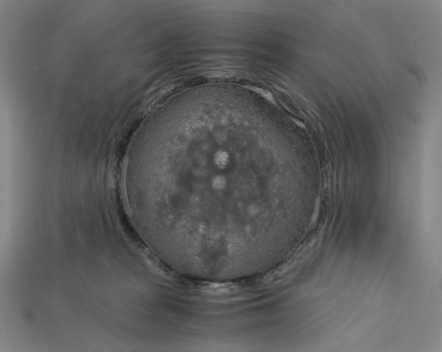 X0000115190277200911121828