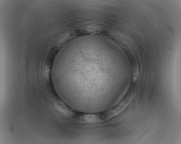 X0000115190279200911121828