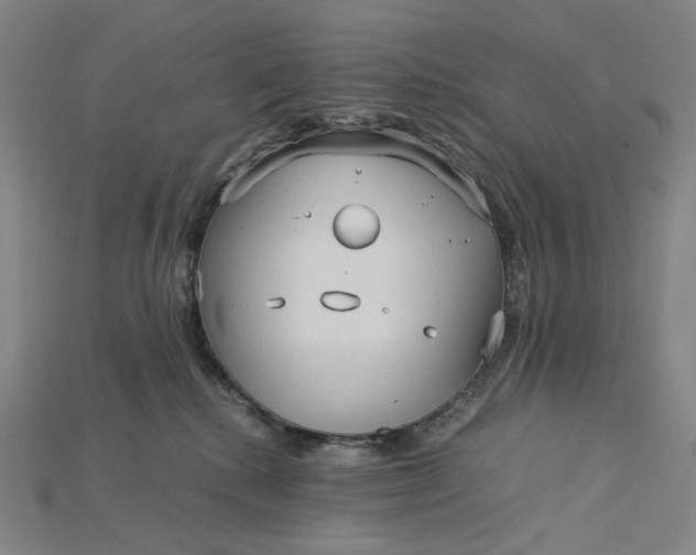 X0000115190280200911121828