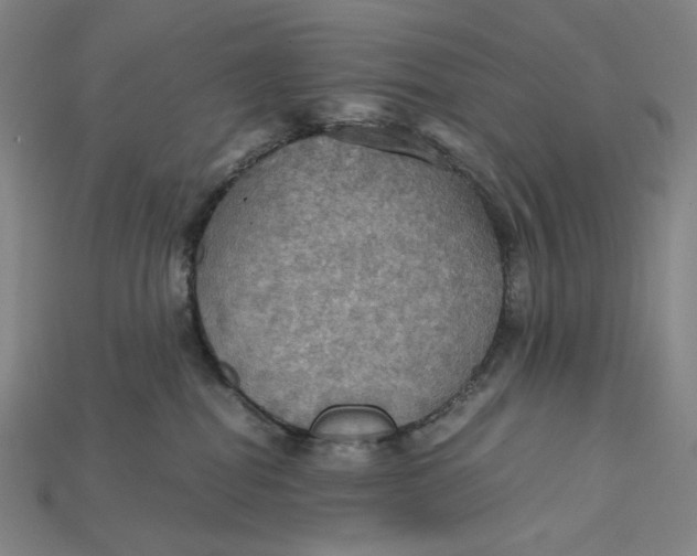 X0000115190282200911121828