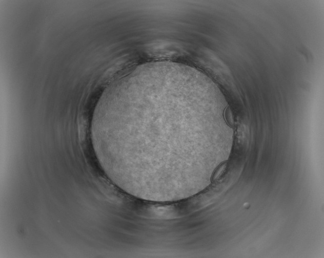 X0000115190283200911121828