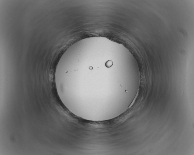 X0000115190284200911121828