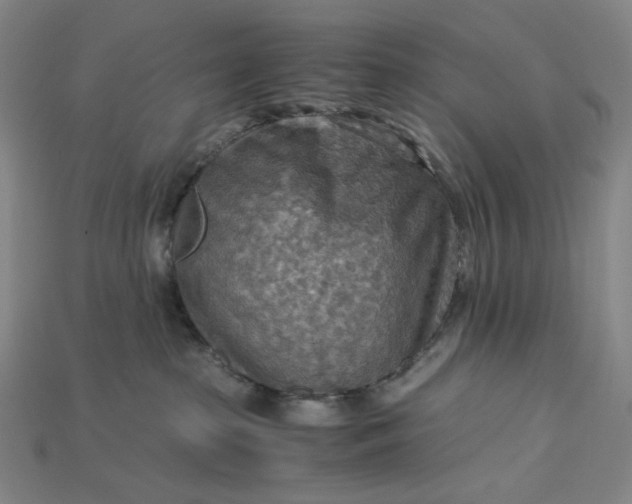 X0000115190285200911121828