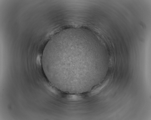 X0000115190286200911121828