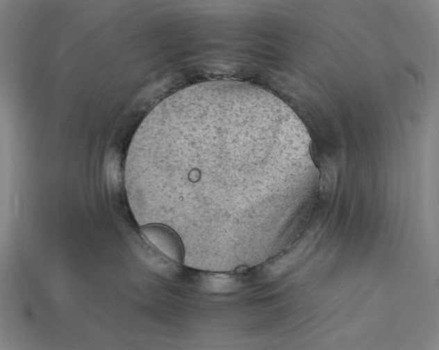 X0000115190287200911121828