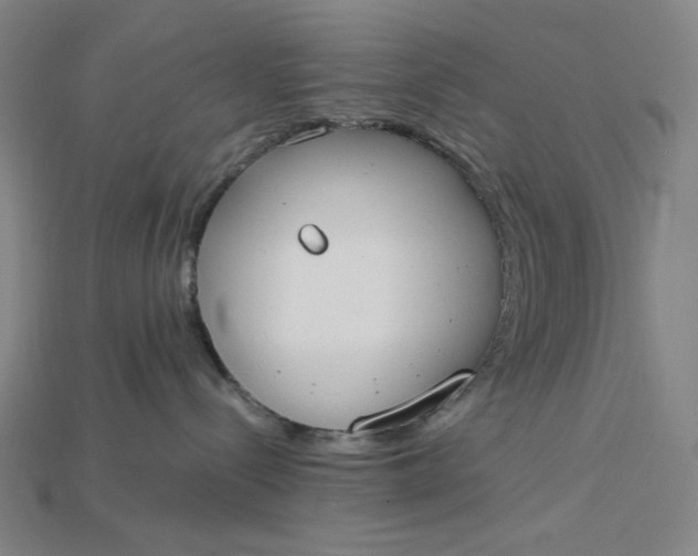 X0000115190288200911121828