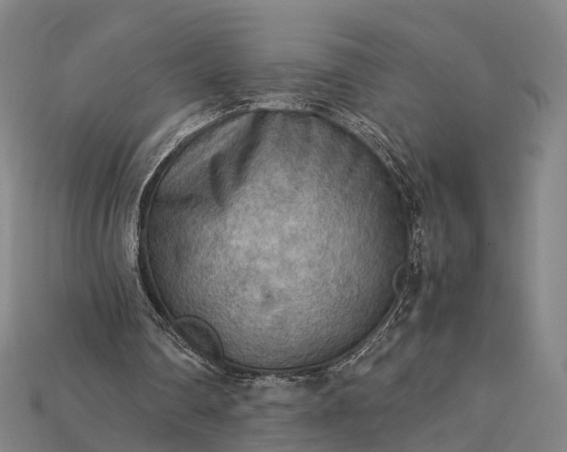 X0000115190290200911121827