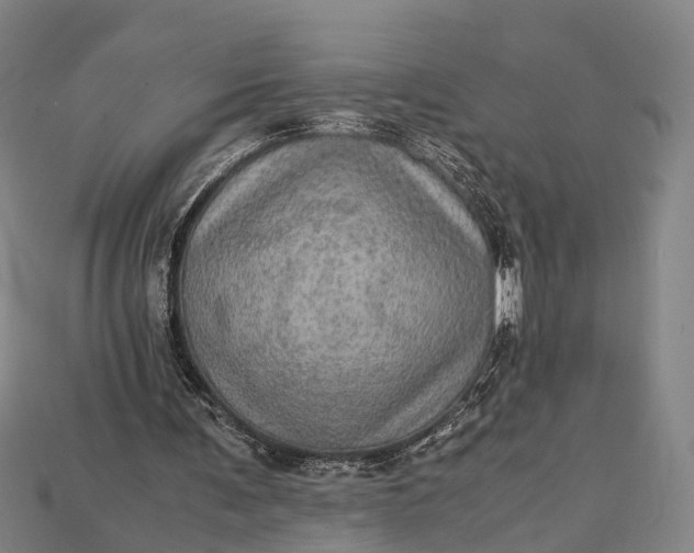 X0000115190291200911121827