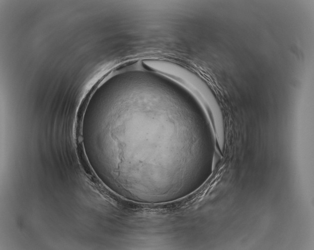 X0000115190292200911121827