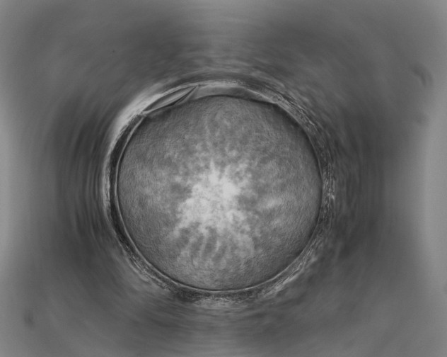 X0000115190294200911121827