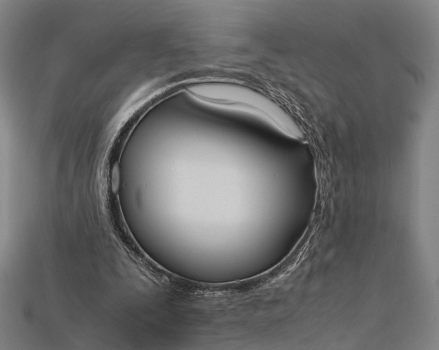 X0000115190295200911121827