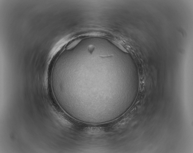 X0000115190296200911121827