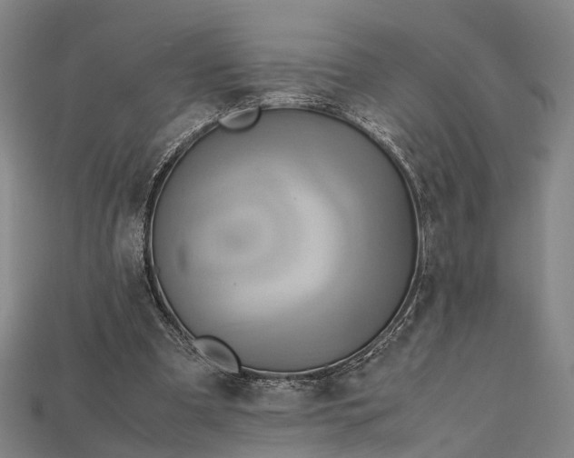 X0000115190297200911121827