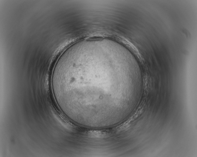 X0000115190298200911121827