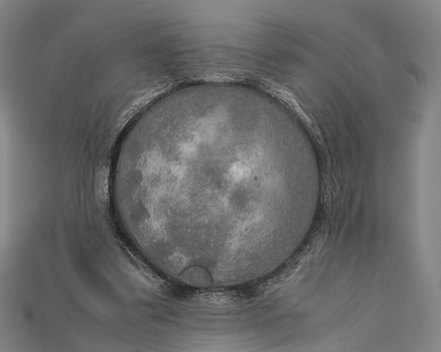 X0000115190299200911121827