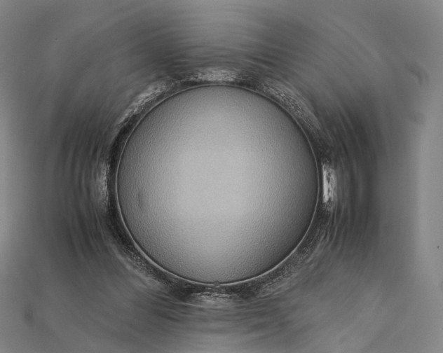 X0000115190300200911121827