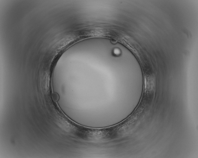 X0000115190301200911121827