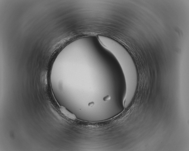 X0000115190302200911121827