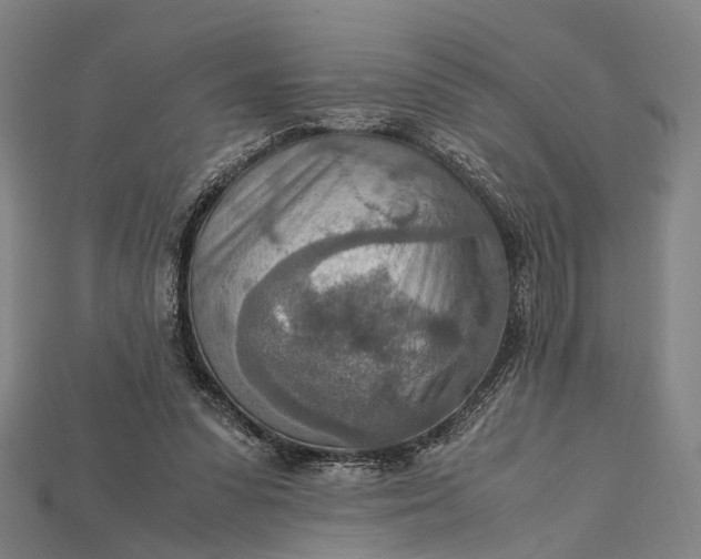 X0000115190303200911121827