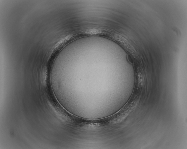 X0000115190304200911121827