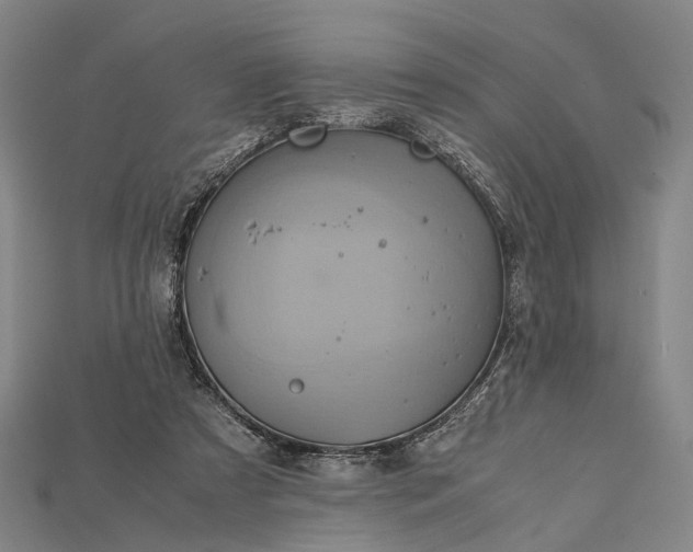 X0000115190305200911121827