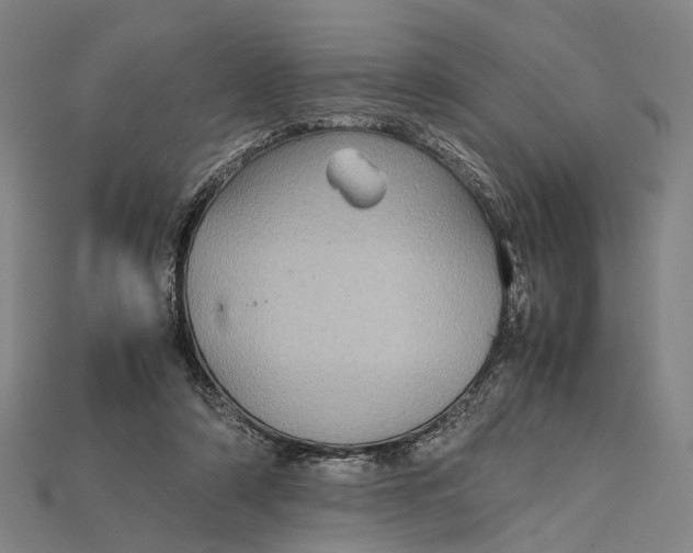 X0000115190306200911121827