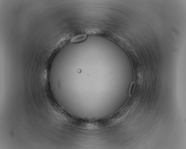 X0000115190308200911121827