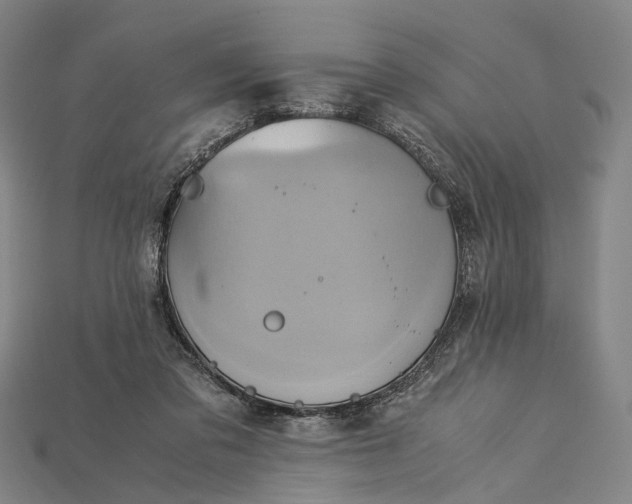 X0000115190309200911121827