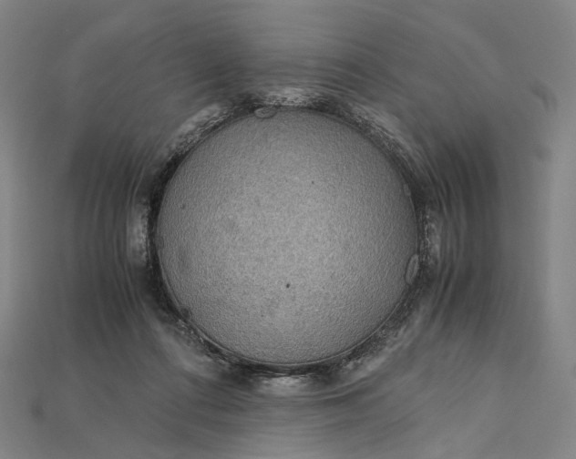 X0000115190312200911121827