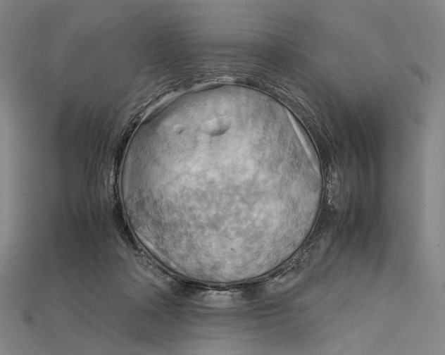 X0000115190314200911121827