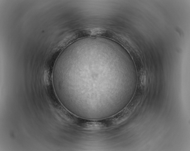 X0000115190316200911121827