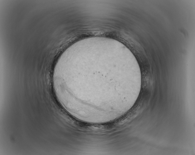 X0000115190317200911121827