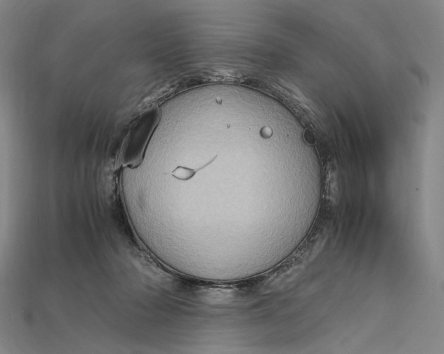 X0000115190318200911121827