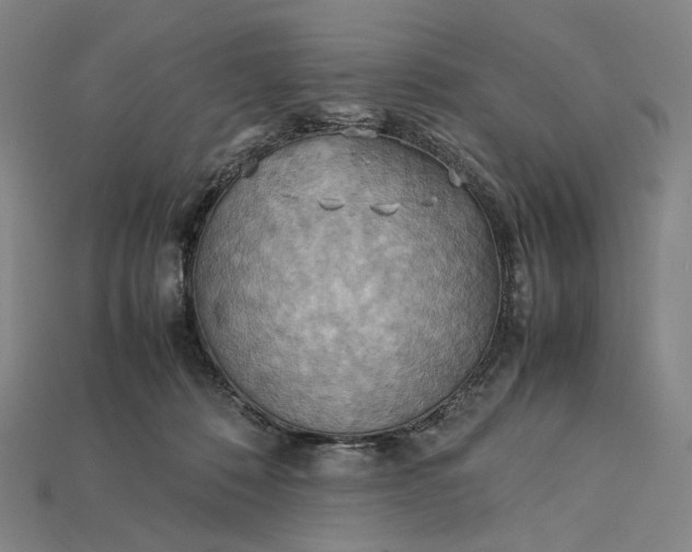 X0000115190320200911121827