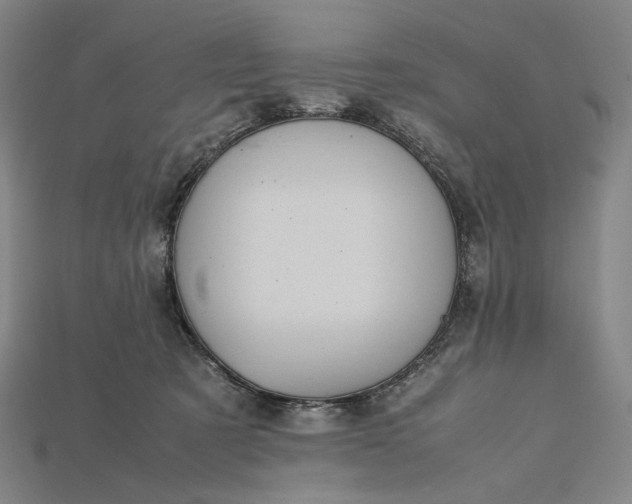 X0000115190321200911121827