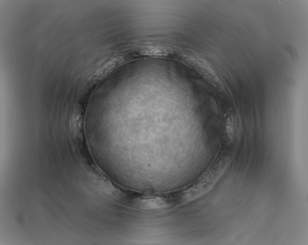 X0000115190322200911121827