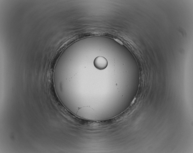 X0000115190325200911121827