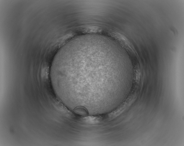 X0000115190326200911121827