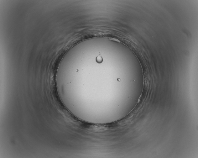 X0000115190327200911121827