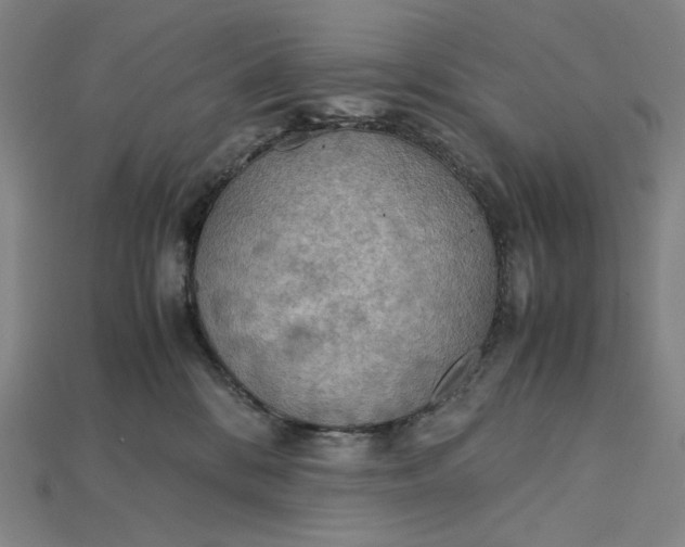 X0000115190328200911121827